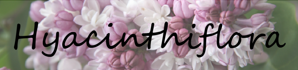 link-hyacinciflora